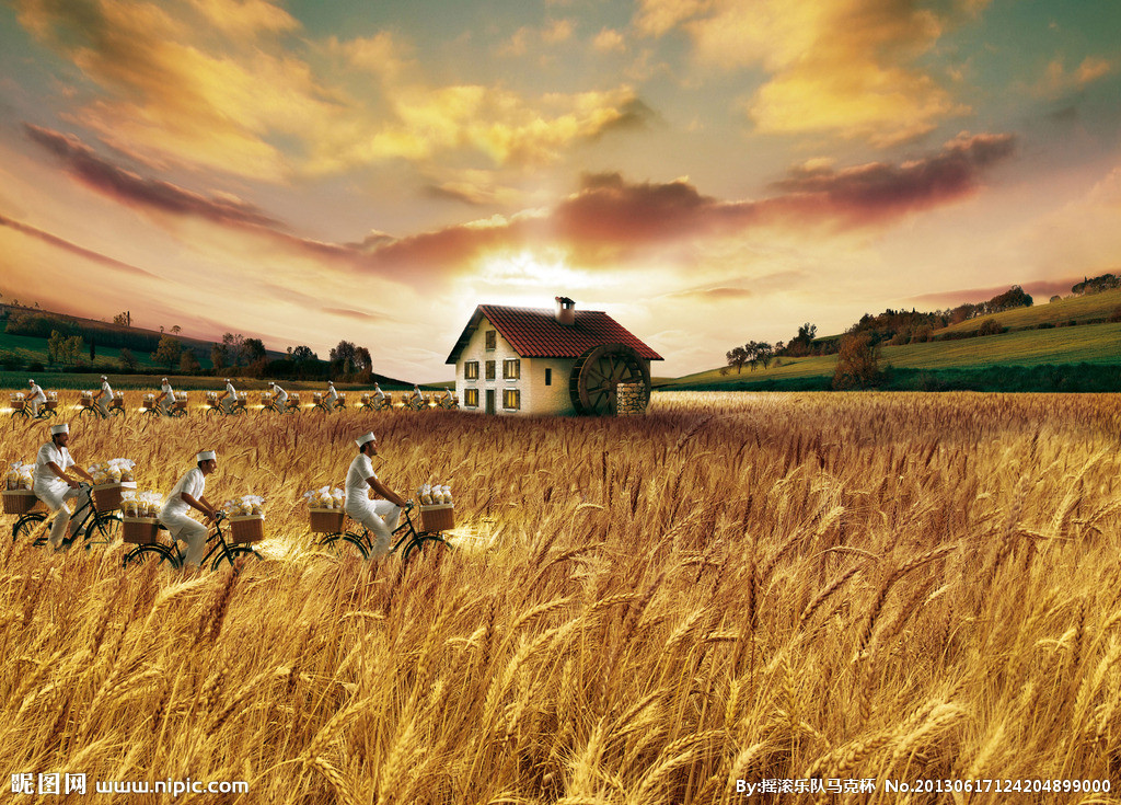 世界杯營銷豈能忽視女性